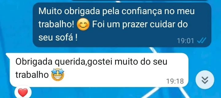 Conversa de WhatsApp: cliente diz que gostou muito do trabalho no sofá